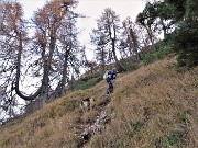 PIZZO BADILE (2044 m) ad anello colorato d’autunno da Piazzatorre-31ott22- FOTOGALLERY